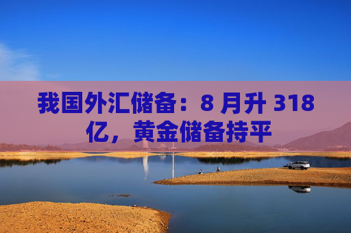 我国外汇储备：8 月升 318 亿，黄金储备持平