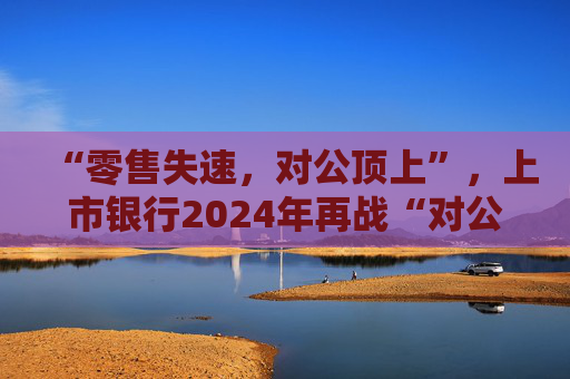 “零售失速，对公顶上”，上市银行2024年再战“对公”｜年报观察