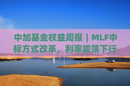 中加基金权益周报︱MLF中标方式改革，利率震荡下行
