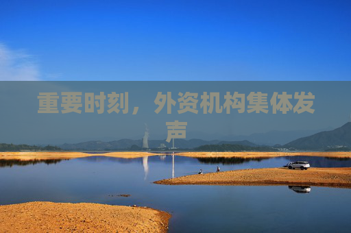 重要时刻，外资机构集体发声