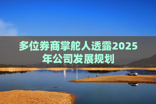 多位券商掌舵人透露2025年公司发展规划
