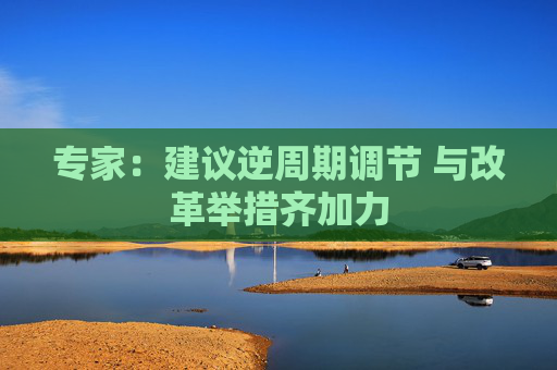 专家：建议逆周期调节 与改革举措齐加力