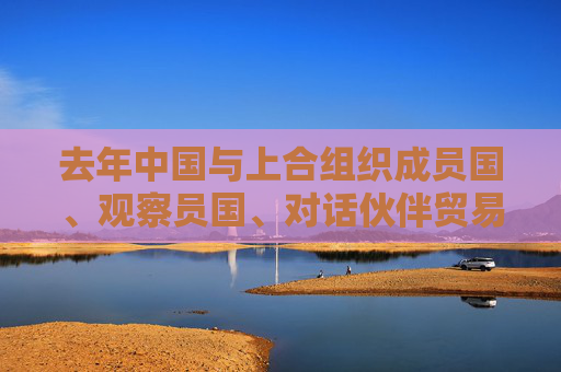 去年中国与上合组织成员国、观察员国、对话伙伴贸易额创纪录