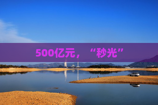 500亿元，“秒光”