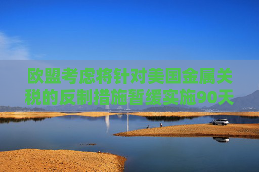 欧盟考虑将针对美国金属关税的反制措施暂缓实施90天
