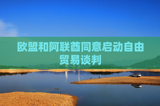 欧盟和阿联酋同意启动自由贸易谈判