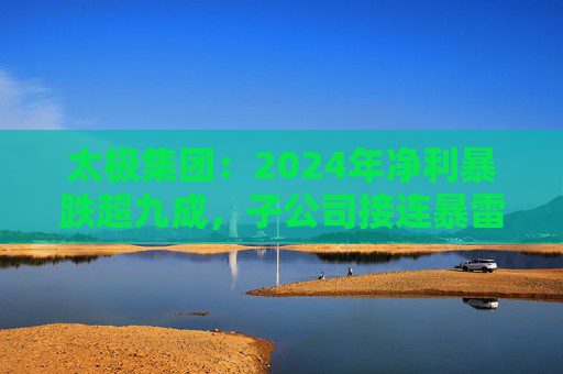 太极集团：2024年净利暴跌超九成，子公司接连暴雷