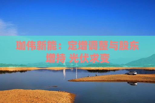 珈伟新能：定增调整与股东增持 光伏求变