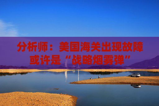 分析师：美国海关出现故障或许是“战略烟雾弹”