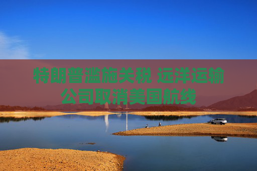特朗普滥施关税 远洋运输公司取消美国航线
