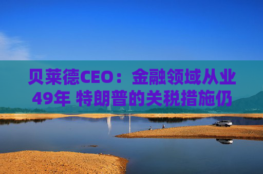 贝莱德CEO：金融领域从业49年 特朗普的关税措施仍远超我的想象