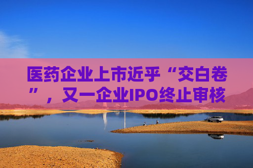 医药企业上市近乎“交白卷”，又一企业IPO终止审核