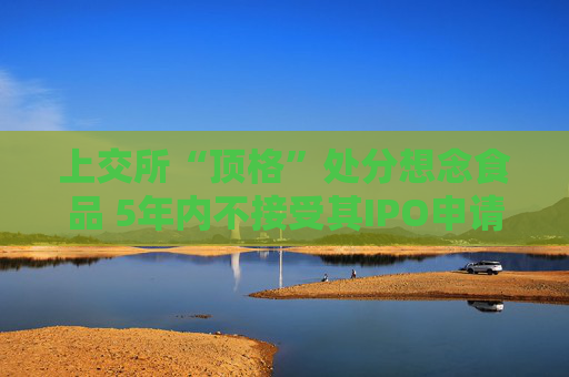 上交所“顶格”处分想念食品 5年内不接受其IPO申请