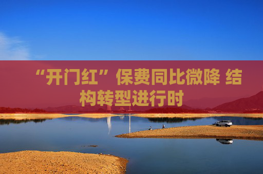 “开门红”保费同比微降 结构转型进行时