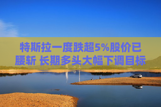 特斯拉一度跌超5%股价已腰斩 长期多头大幅下调目标价