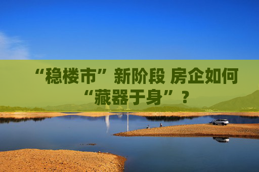 “稳楼市”新阶段 房企如何“藏器于身”？