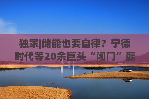 独家|储能也要自律？宁德时代等20余巨头“闭门”酝酿倡议