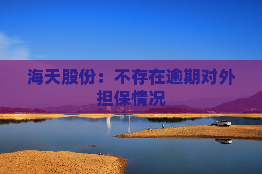 海天股份：不存在逾期对外担保情况