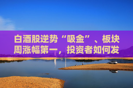 白酒股逆势“吸金”、板块周涨幅第一，投资者如何发掘舍得酒业的“质价比”