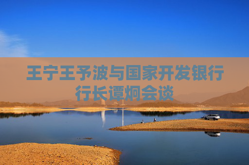 王宁王予波与国家开发银行行长谭炯会谈