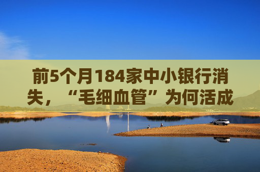 前5个月184家中小银行消失，“毛细血管”为何活成了“夹心饼干”