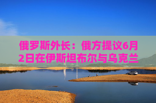 俄罗斯外长：俄方提议6月2日在伊斯坦布尔与乌克兰举行新会谈