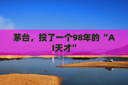 茅台，投了一个98年的“AI天才”
