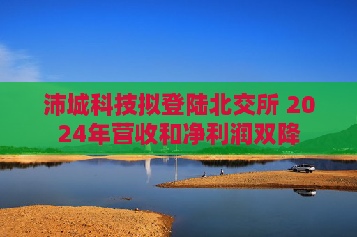 沛城科技拟登陆北交所 2024年营收和净利润双降