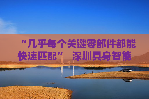 “几乎每个关键零部件都能快速匹配”  深圳具身智能生态先行一步
