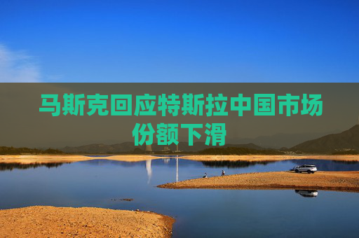 马斯克回应特斯拉中国市场份额下滑