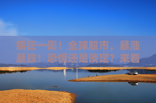 疯狂一周！全球股市，暴涨暴跌！恐慌还是淡定？来看历史答案
