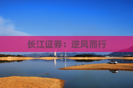 长江证券：逆风而行