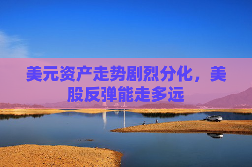 美元资产走势剧烈分化，美股反弹能走多远