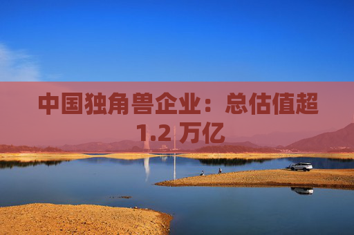 中国独角兽企业：总估值超 1.2 万亿