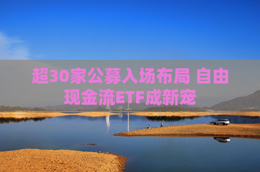 超30家公募入场布局 自由现金流ETF成新宠