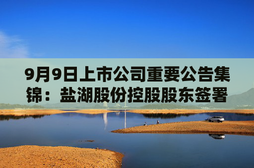 9月9日上市公司重要公告集锦：盐湖股份控股股东签署合作总协议