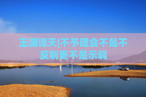 玉渊谭天|不予理会不是不反制更不是示弱