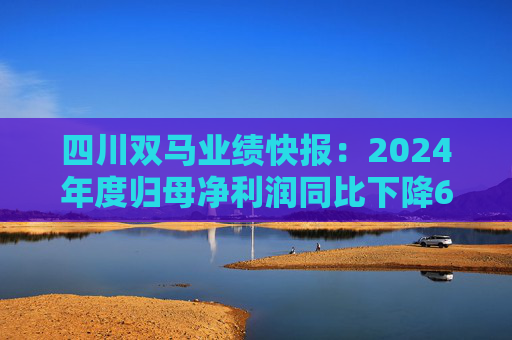 四川双马业绩快报：2024年度归母净利润同比下降68.61%