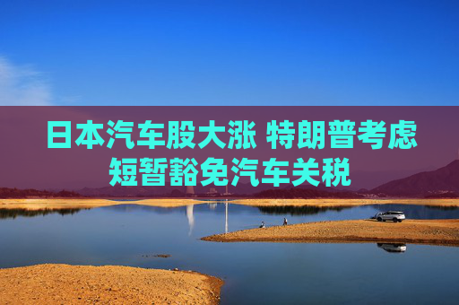 日本汽车股大涨 特朗普考虑短暂豁免汽车关税