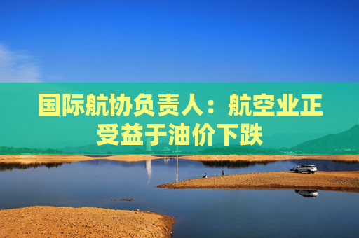 国际航协负责人：航空业正受益于油价下跌