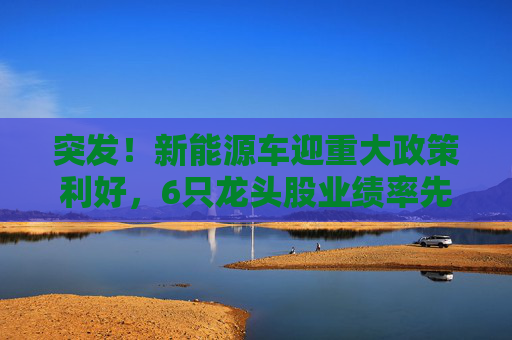 突发！新能源车迎重大政策利好，6只龙头股业绩率先反转