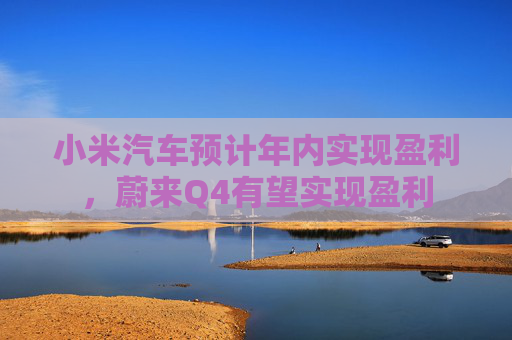 小米汽车预计年内实现盈利，蔚来Q4有望实现盈利