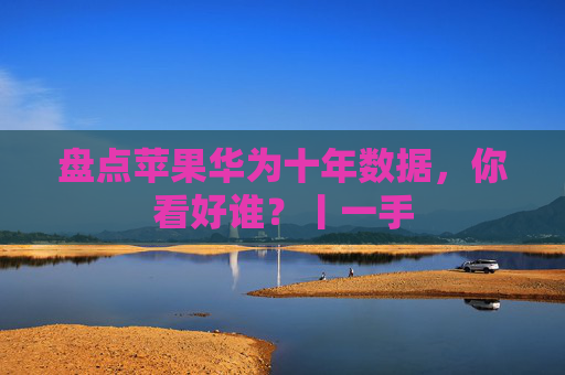 盘点苹果华为十年数据，你看好谁？丨一手