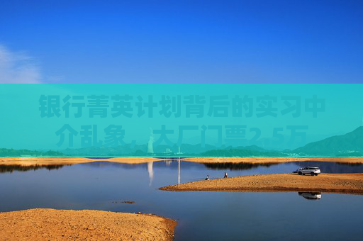 银行菁英计划背后的实习中介乱象，大厂门票2.5万