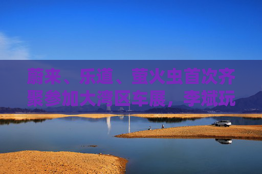 蔚来、乐道、萤火虫首次齐聚参加大湾区车展，李斌玩起谐音梗“为了赢”