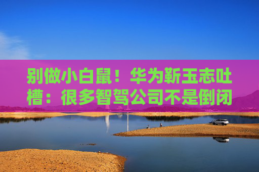 别做小白鼠!华为靳玉志吐槽:很多智驾公司不是倒闭就是做机器人去了