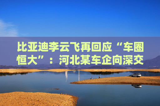 比亚迪李云飞再回应“车圈恒大”：河北某车企向深交所、港交所及监管机构恶意举报比亚迪