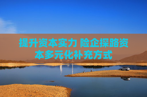 提升资本实力 险企探路资本多元化补充方式