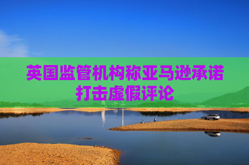 英国监管机构称亚马逊承诺打击虚假评论