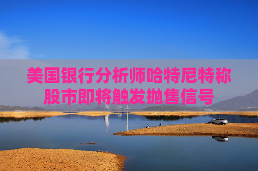 美国银行分析师哈特尼特称股市即将触发抛售信号